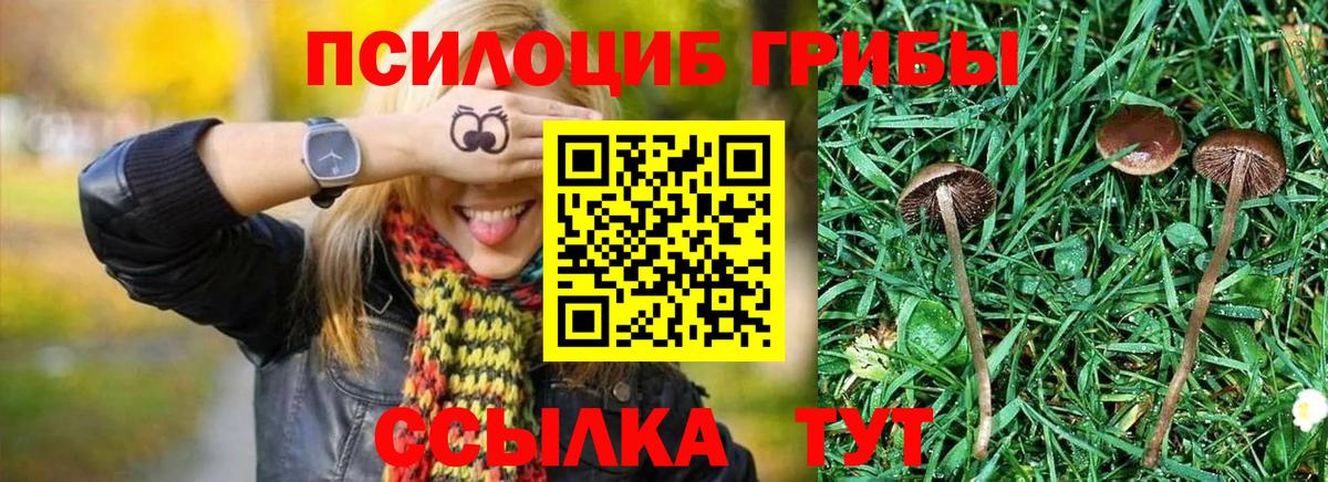 Галлюциногенные грибы Psilocybine cubensis  Вход с VPN  Конаково 